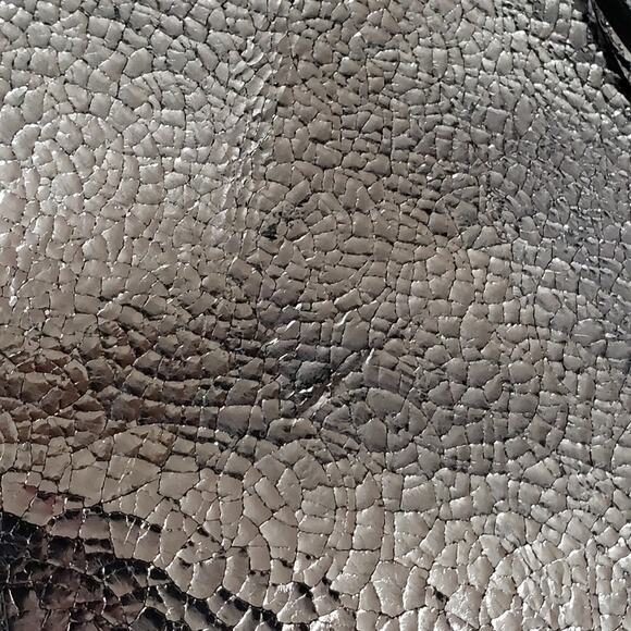 RAYE Jackson Western Boots Metallic Silver Size 6.5 RAYE-WZ2499‎ Fringe Tasseled - Picture 14 of 16